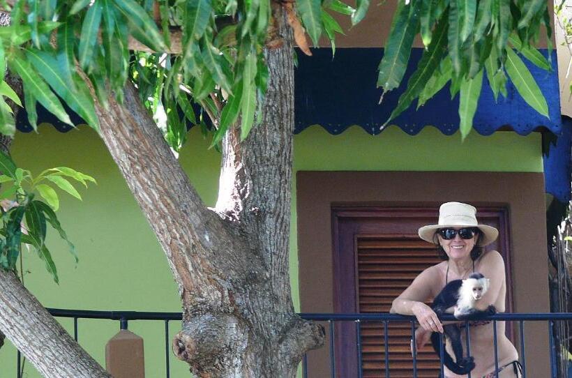 تختخواب و صبحانه Zopango Orchids Island