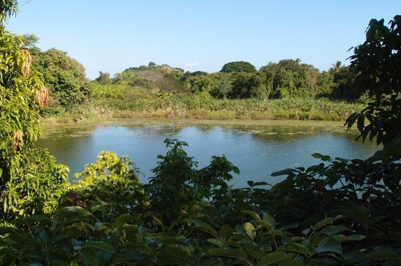 تختخواب و صبحانه Zopango Orchids Island