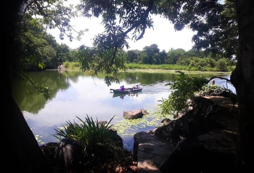 تختخواب و صبحانه Zopango Orchids Island