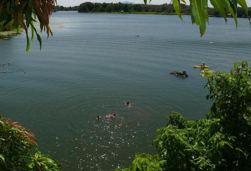 تختخواب و صبحانه Zopango Orchids Island