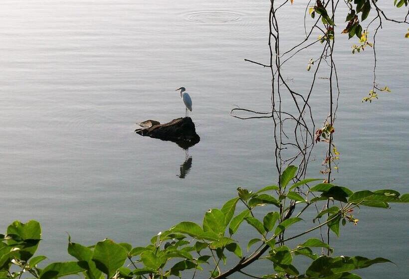تختخواب و صبحانه Zopango Orchids Island