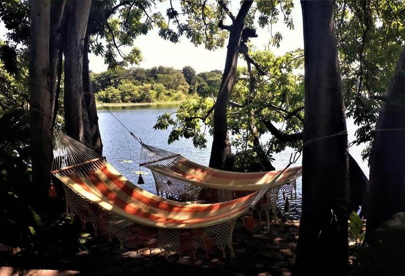 تختخواب و صبحانه Zopango Orchids Island