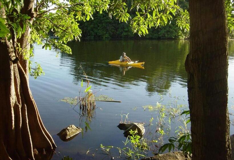 تختخواب و صبحانه Zopango Orchids Island