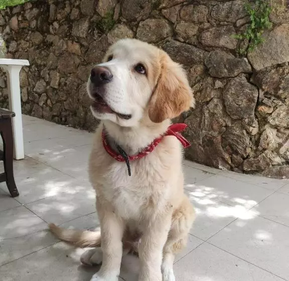 Hotelli Posada Restaurante Fuenteplateada