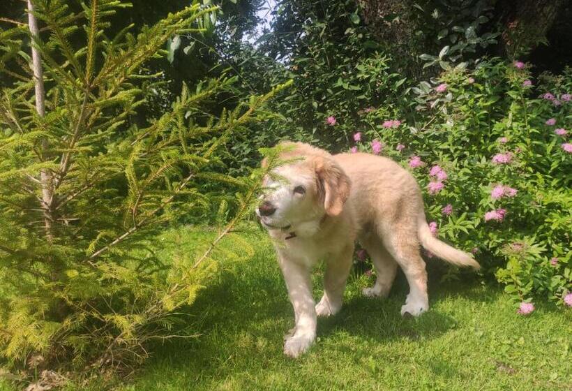 Hotel Posada Restaurante Fuenteplateada