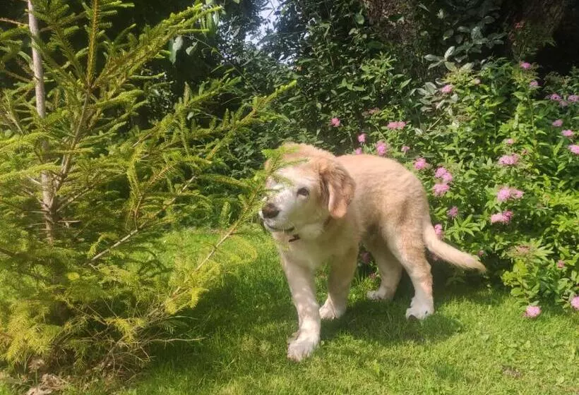 Hotelli Posada Restaurante Fuenteplateada