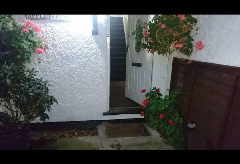 Pension Room In Guest Room Comfortable Family Room With Tv, Free Fast Wifi, Sleeps 4 With 1 Bunk Bed