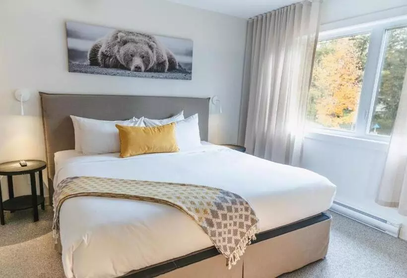 Suites Du Lac Moore