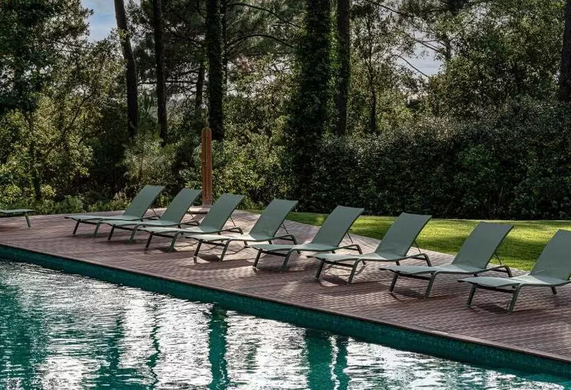 Hôtel 70 Hectares... Et L Océan