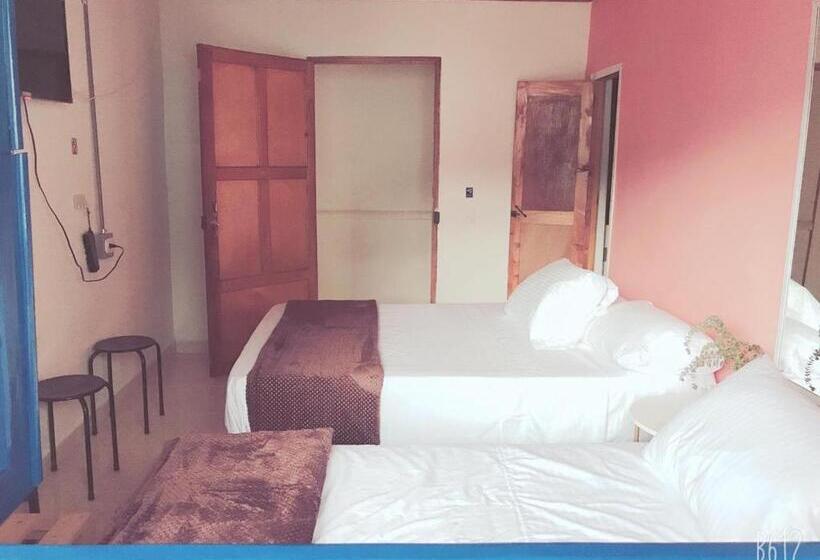 ベッドアンドブレックファースト Hospedaje Casa Rosa Jardín