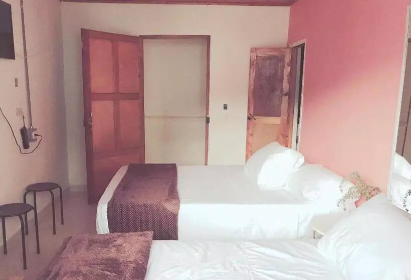 تختخواب و صبحانه Hospedaje Casa Rosa Jardín