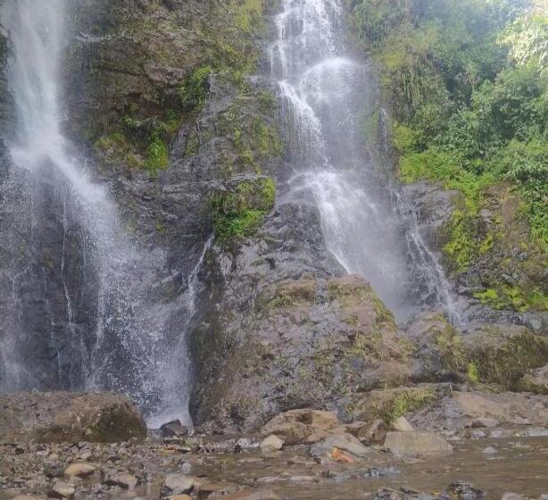 ベッドアンドブレックファースト Hospedaje Casa Rosa Jardín