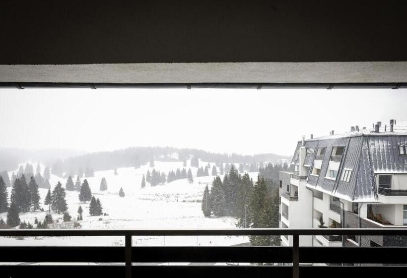 酒店 Elexus Apartments Poiana Brasov