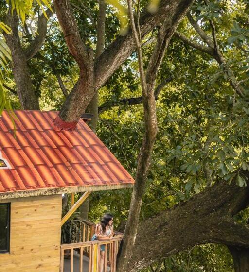 هتل Pony Club La Vecindad Tayrona Zaino