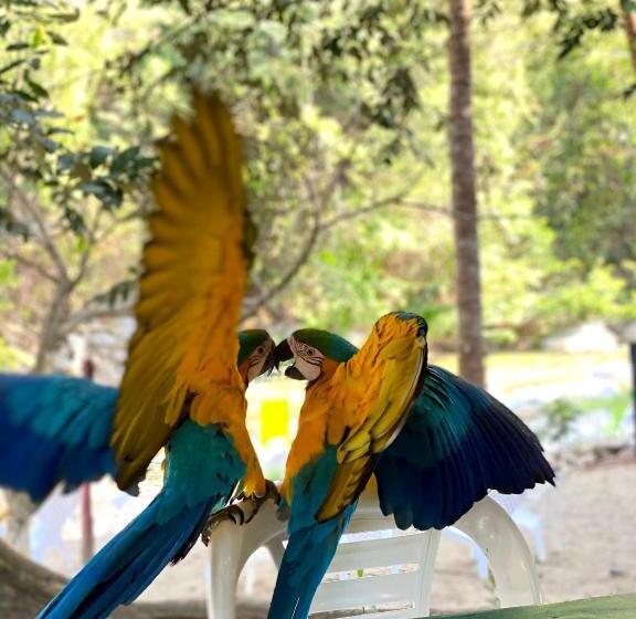 هتل Pony Club La Vecindad Tayrona Zaino