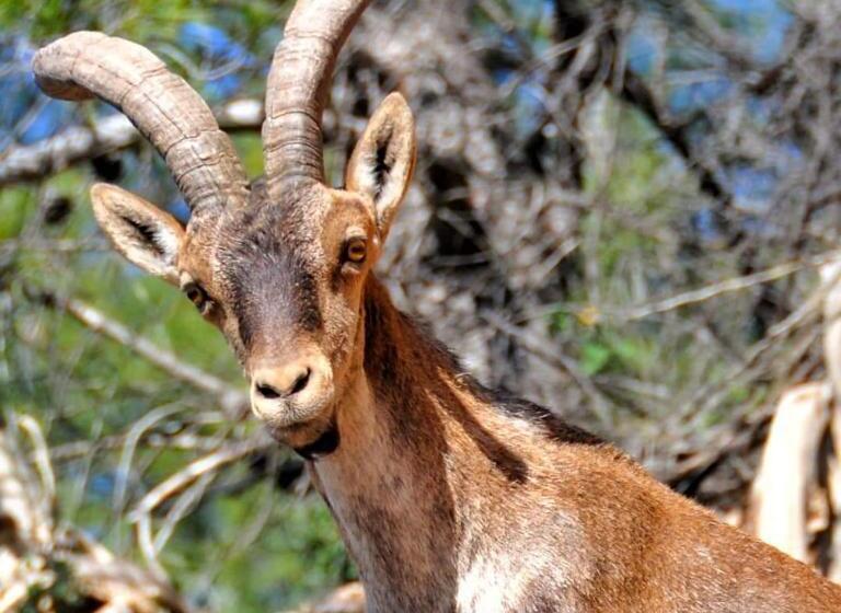 호텔 Villa Otivar Rio Verde