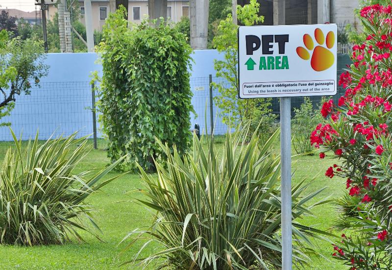 Отель Best Western Plus Soave