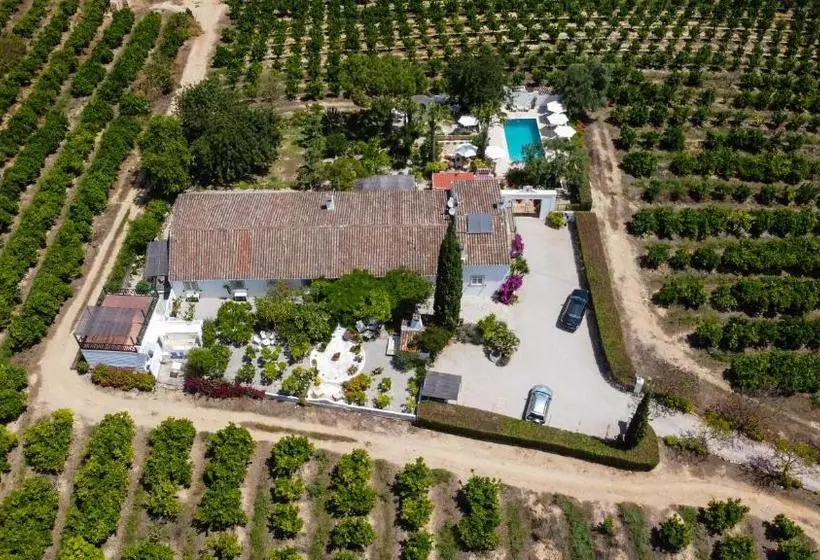 Отель Casa Vale Del Rei