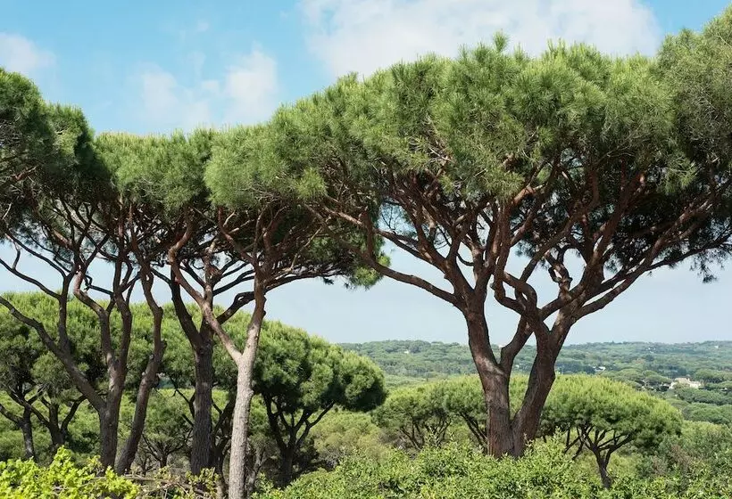 هتل Hôtel Villa Marie Saint Tropez