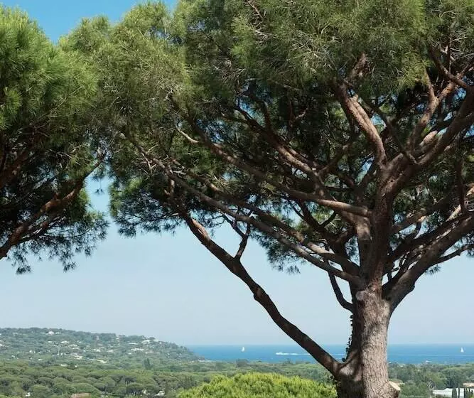 هتل Hôtel Villa Marie Saint Tropez
