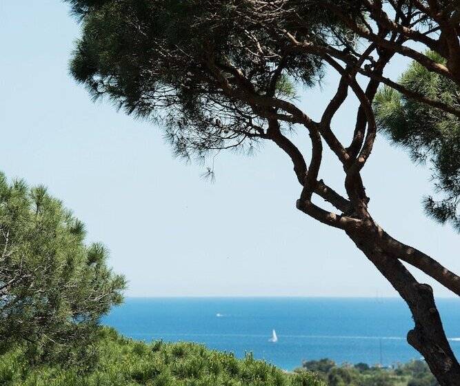 ホテル Hôtel Villa Marie Saint Tropez