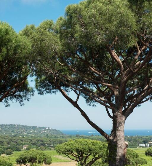ホテル Hôtel Villa Marie Saint Tropez