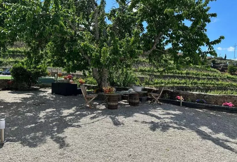 ホテル Quinta Da Casa Cimeira, Guest House, Wines & Food