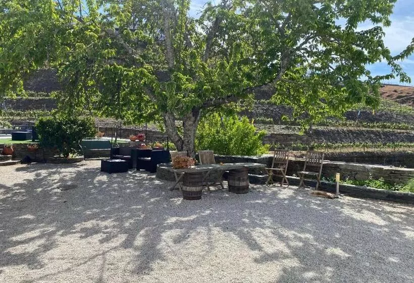 ホテル Quinta Da Casa Cimeira, Guest House, Wines & Food