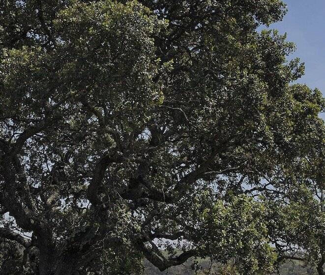 酒店 Quinta Do Chocalhinho Agroturismo & Spa