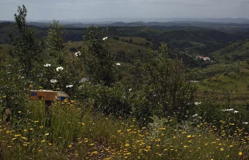 호텔 Quinta Do Chocalhinho Agroturismo & Spa