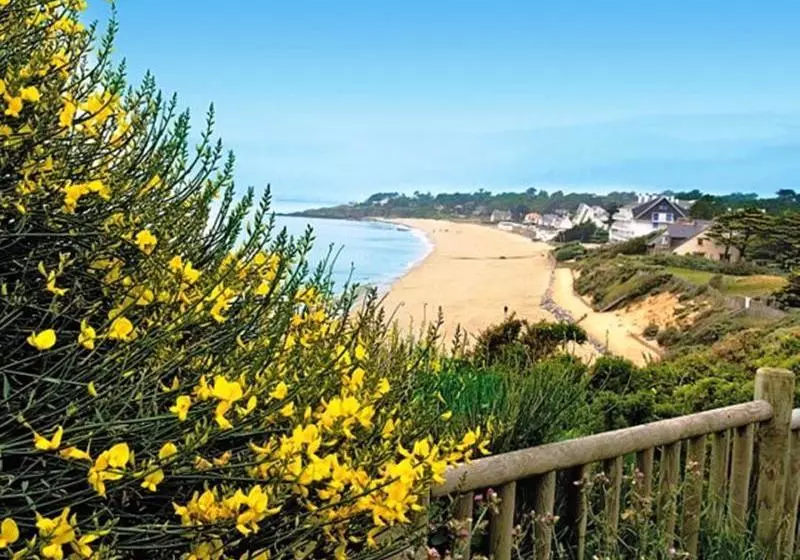 Резиденция Pierre & Vacances Résidence Les Océanes