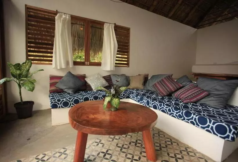 Retkeilymaja El Pital, Chocolate Paradise