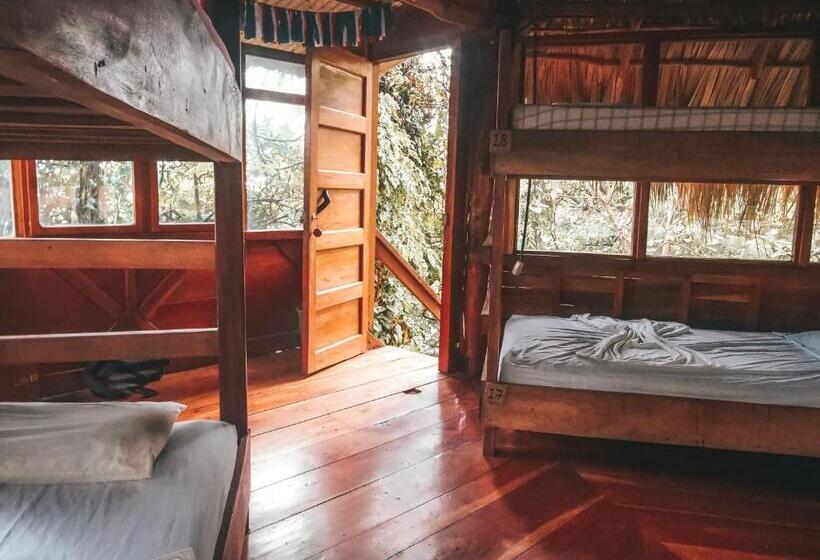 هاستل El Pital, Chocolate Paradise