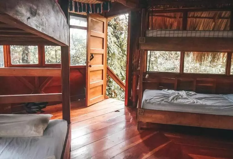 Retkeilymaja El Pital, Chocolate Paradise