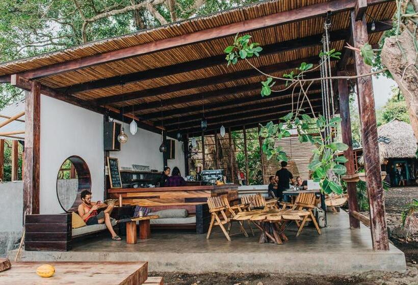 هاستل El Pital, Chocolate Paradise