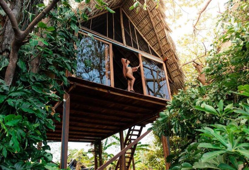 هاستل El Pital, Chocolate Paradise