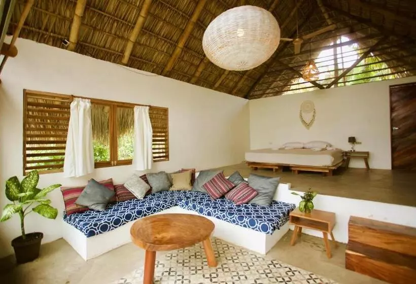 Retkeilymaja El Pital, Chocolate Paradise