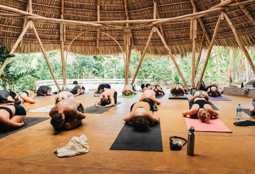 Retkeilymaja El Pital, Chocolate Paradise