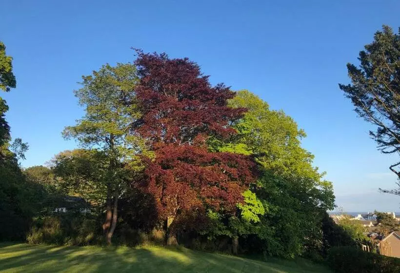 Aamiaismajoitus (B&B) Morven Guest House Carnoustie