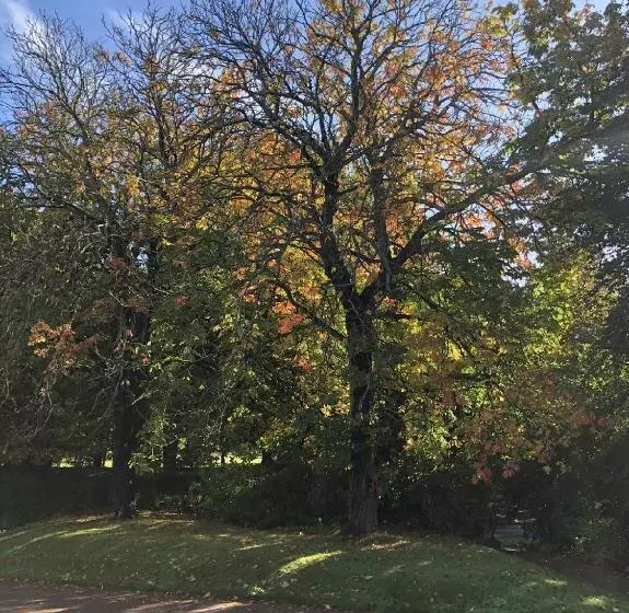 Aamiaismajoitus (B&B) Morven Guest House Carnoustie