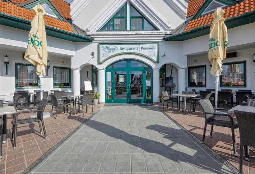 مبيت وإفطار Tercia Kópháza Panzió B