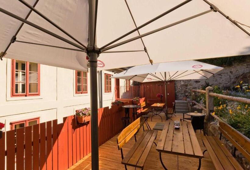 Pensjonat Měšťanský Dům   Kulturní Památka Mlýnská 119