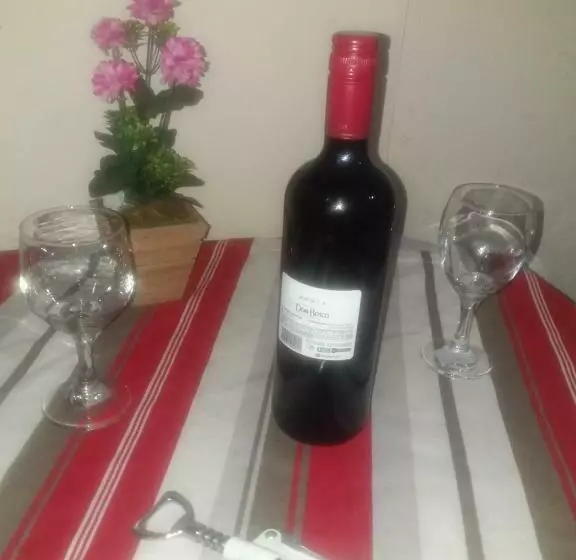 پانسیون Pousada Do Alex