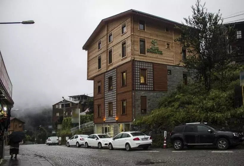 Ayder şimşir Butik Otel