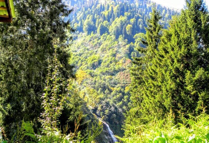 Ayder şimşir Butik Otel