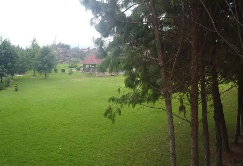 ホテル Cabañas Sierra Verde