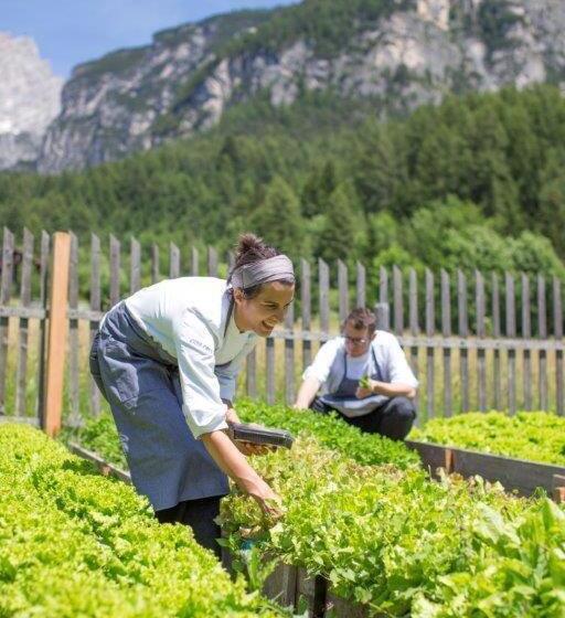 酒店 Villa Trieste