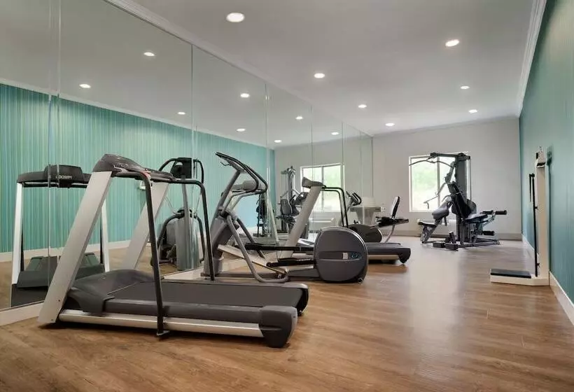 Holiday Inn Express Hotel & Suites Dallas Ne   Allen, An Ihg