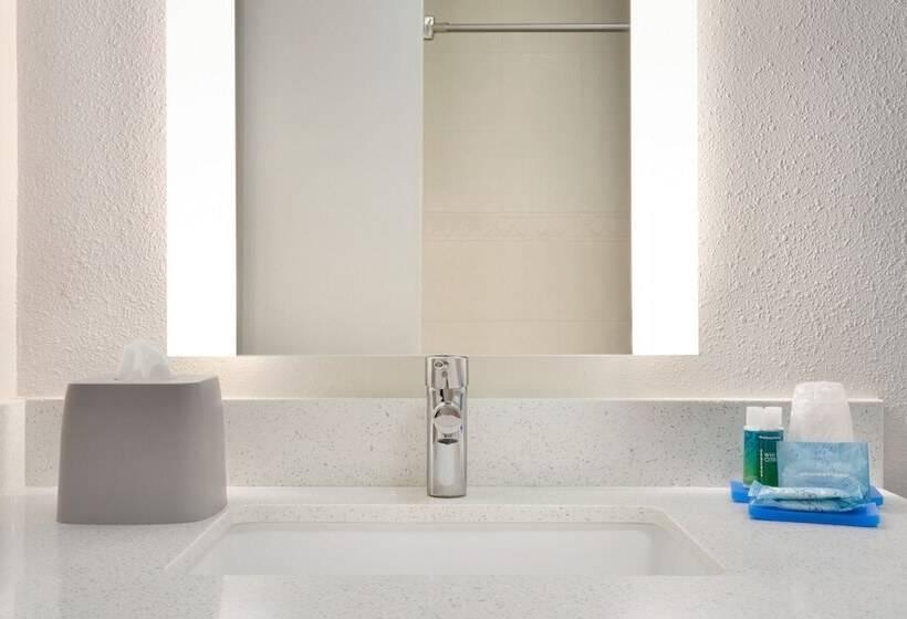 Holiday Inn Express Hotel & Suites Dallas Ne   Allen, An Ihg