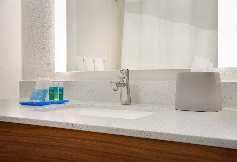 Holiday Inn Express Hotel & Suites Dallas Ne   Allen, An Ihg